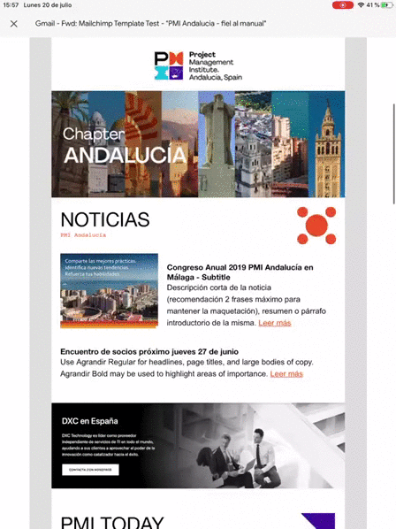 SOYTUTIPO-portfolio-Diseño de flyer y newsletter -pmi